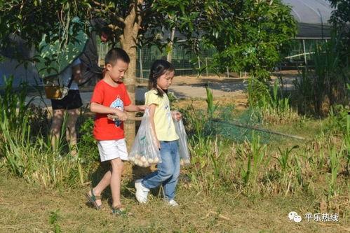 成人草小孩视频,一场跨越年龄的奇幻之旅