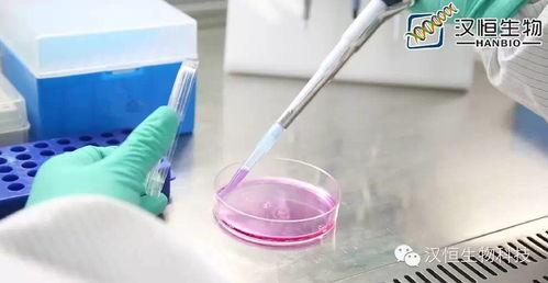 成人清肠灌肠操作视频,成人清肠灌肠操作视频详解