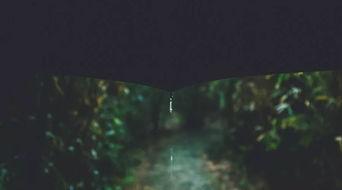 成人孤独的世界视频