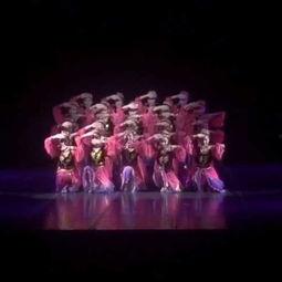 新疆舞舞蹈视频成人,视频中的民族风情与人生感悟