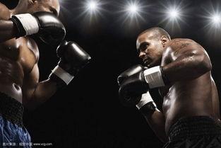 成人拳击互动热身游戏视频,成人健身新体验