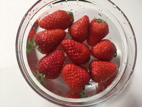 草莓视频脚本成人,揭秘人生百态，共赴成长之旅