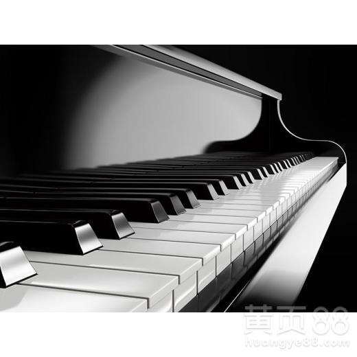 成人钢琴大小调教学视频