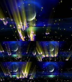 成人舞蹈演出蝴蝶翅膀视频,成人舞蹈演出中的梦幻翅膀视觉盛宴