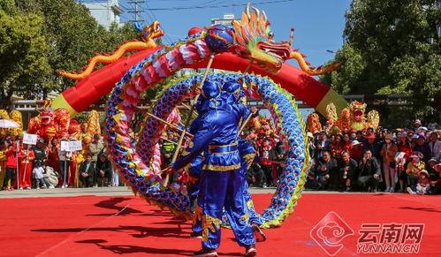 成人舞龙制作视频教程,成人舞龙制作视频教程全解析