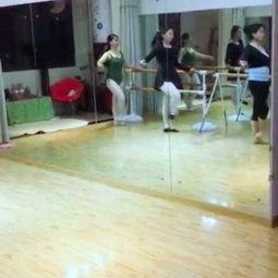 成人舞芭蕾组合视频大全,成人舞者组合视频大全赏析