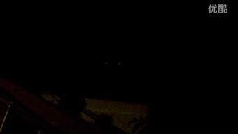 视频窝蝌蚪视频成人,蜕变之旅的精彩瞬间