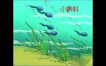 视频窝蝌蚪视频成人,蜕变之旅的精彩瞬间