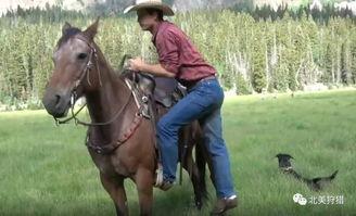 成人骑马教程视频,从零开始学骑马