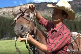 成人骑马教程视频,从零开始学骑马