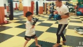 成人搏击训练视频教程,掌握实战技巧，提升自我防卫能力