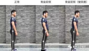 成人瘦子改善驼背视频讲解,成人瘦子专属矫正视频教程