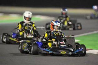 成人卡丁车开马路视频,成人卡丁车竞速引发安全担忧