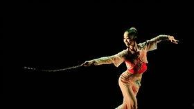 朝阳成人古风舞蹈视频,古风舞蹈视频中的古典韵味再现