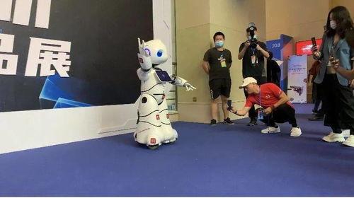 珍奇变成人怀孕了吗视频,揭秘怀孕背后的神奇旅程