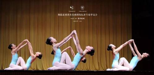 成人舞蹈声韵初学视频,成人舞蹈声韵入门视频解析