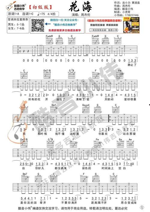 音律成人吉他课教学视频,跟随成人吉他课教学视频轻松掌握吉他演奏技巧