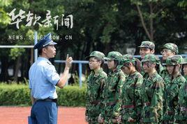 成人军训音乐视频下载,重温青春记忆，共赏热血旋律