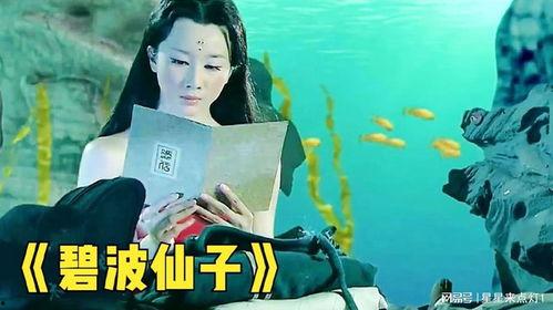 成人美人鱼视频,梦幻海洋中的奇幻之旅  第3张