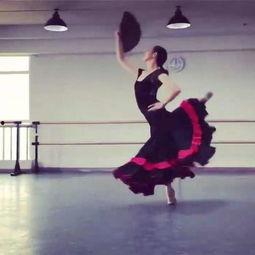 成人上舞蹈课要求视频,轻松入门，舞动人生新篇章  第1张