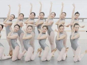 形体芭蕾成人舞视频大全,全方位成人舞者必备视频大全解析