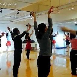 形体芭蕾成人舞视频大全,全方位成人舞者必备视频大全解析  第2张