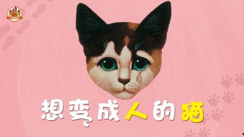一只猫变成人的动画视频,猫咪奇遇变身之旅
