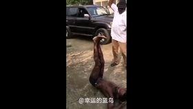 成人打手板惩罚方法视频