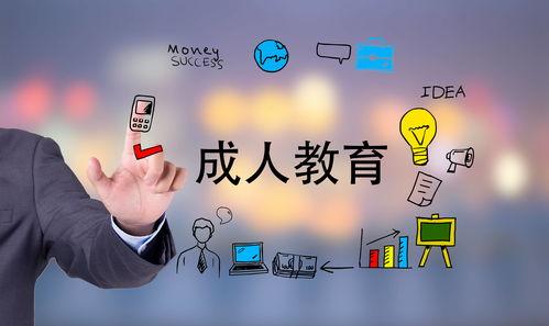 成人高考视频帮刷,轻松掌握学习技巧  第3张