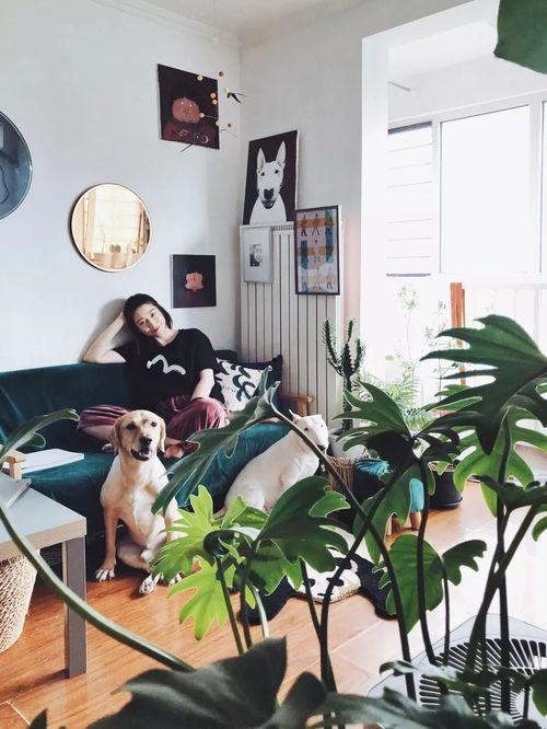 把狗改造成人的视频,探索动物与人类界限的奇幻之旅  第2张