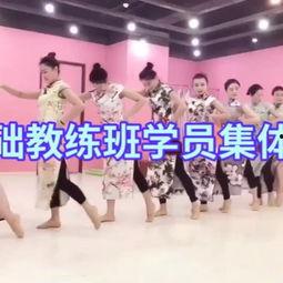 集体手势舞成人舞蹈视频  第3张