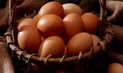 鸡蛋孵化成人的视频播放,揭秘鸡蛋孵化成人的神奇之旅  第2张