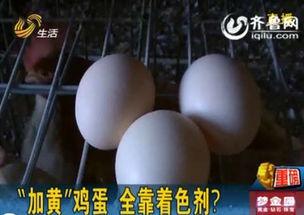 鸡蛋孵化成人的视频播放,揭秘鸡蛋孵化成人的神奇之旅  第3张