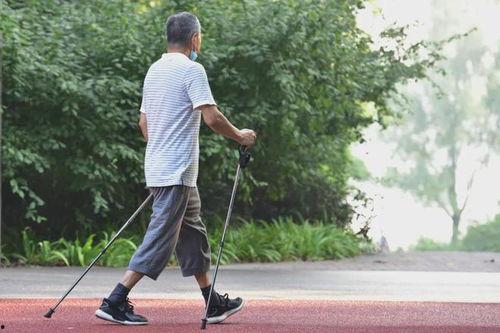 成人和老人走路视频大全  第3张