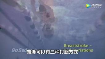 成人蛙泳视频基础教学,视频解析与技巧指导  第3张
