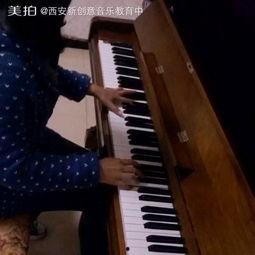 成人学乐器视频  第2张