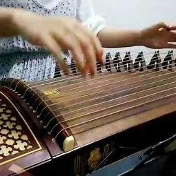 成人学乐器视频  第3张