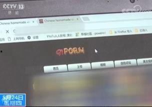 百成人网站免费视频  第3张